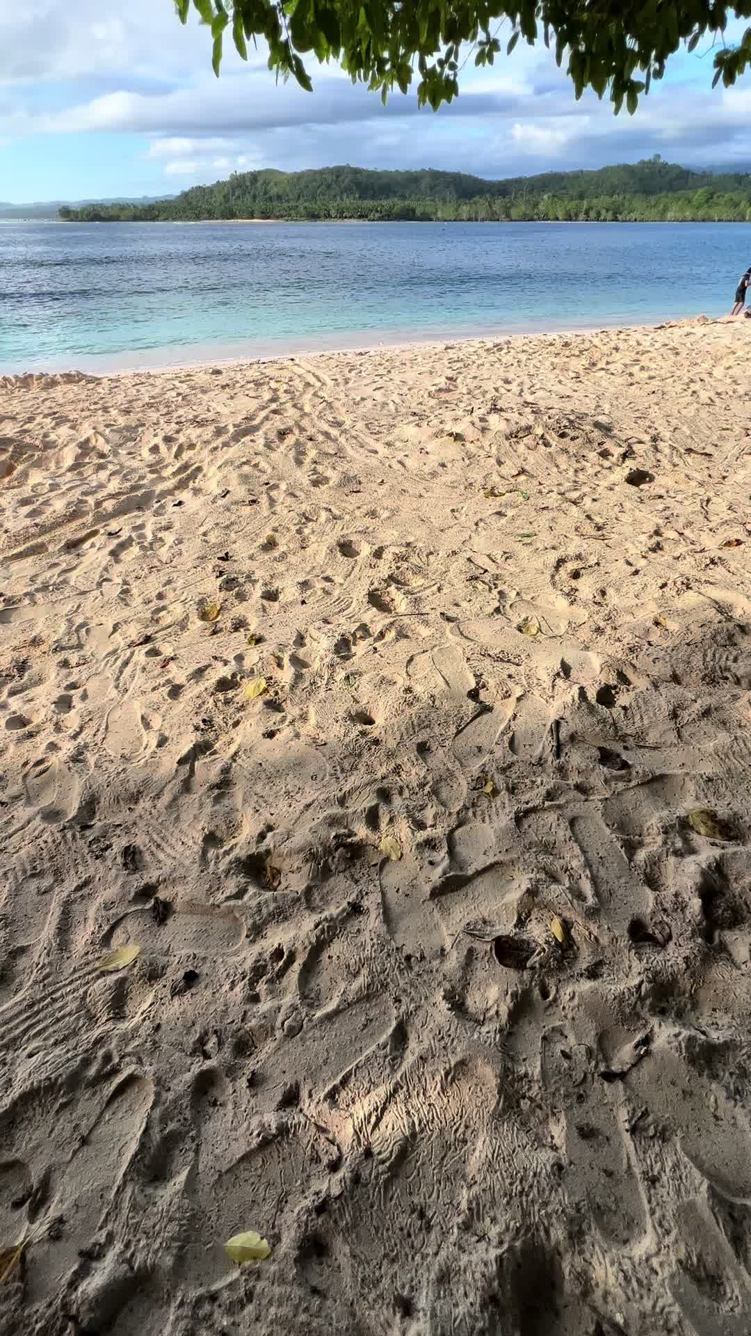 @ChamPuy21