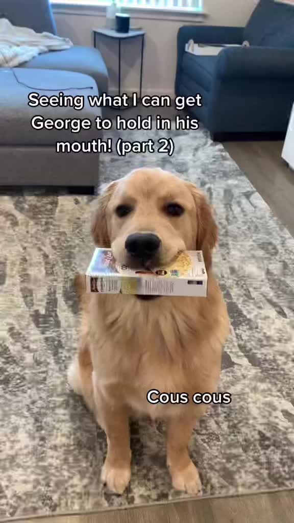 @George The Golden