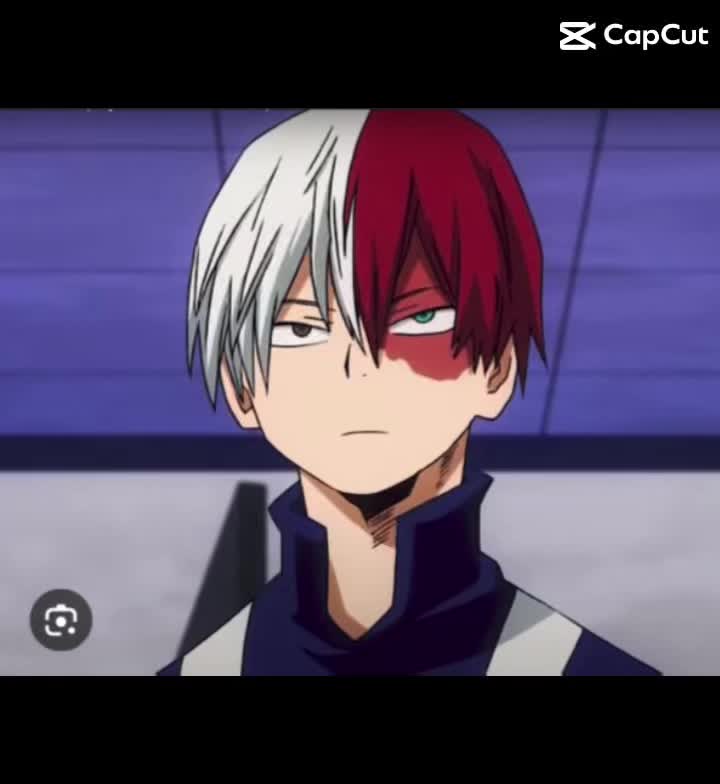 @🌹✨Shoto lover✨🌹