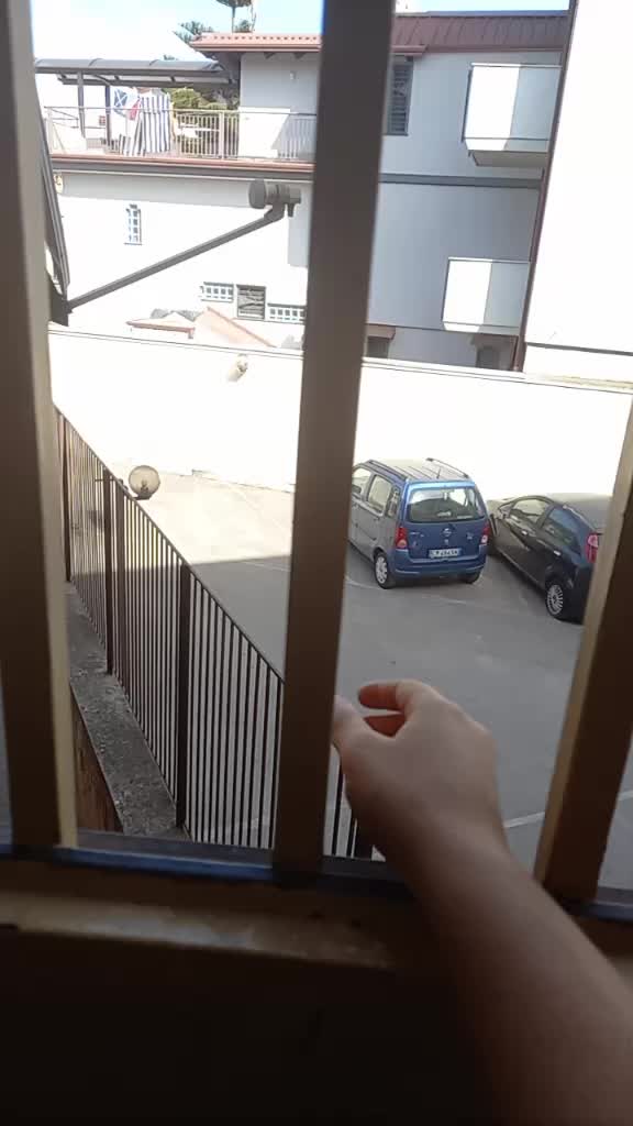 @Maria Di Sciorno561