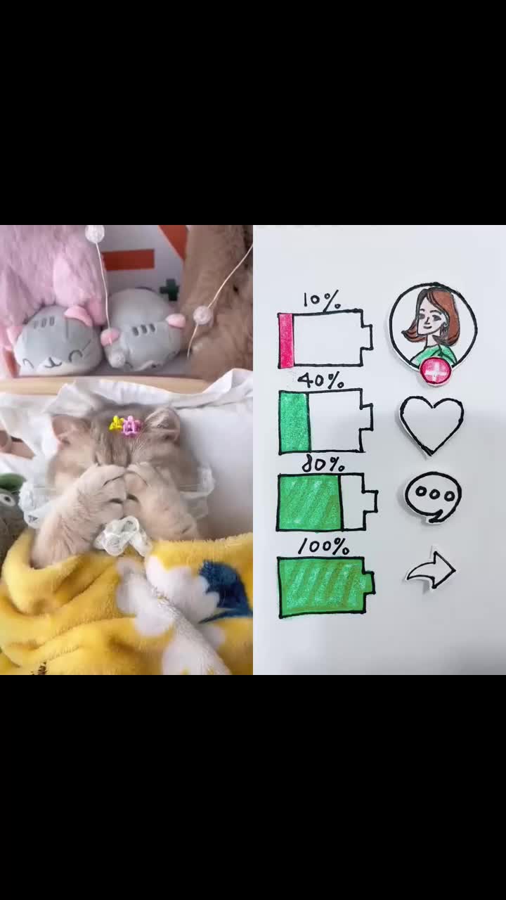 @maxfsdf