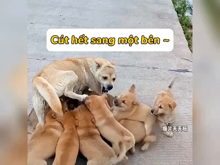 @clapclap