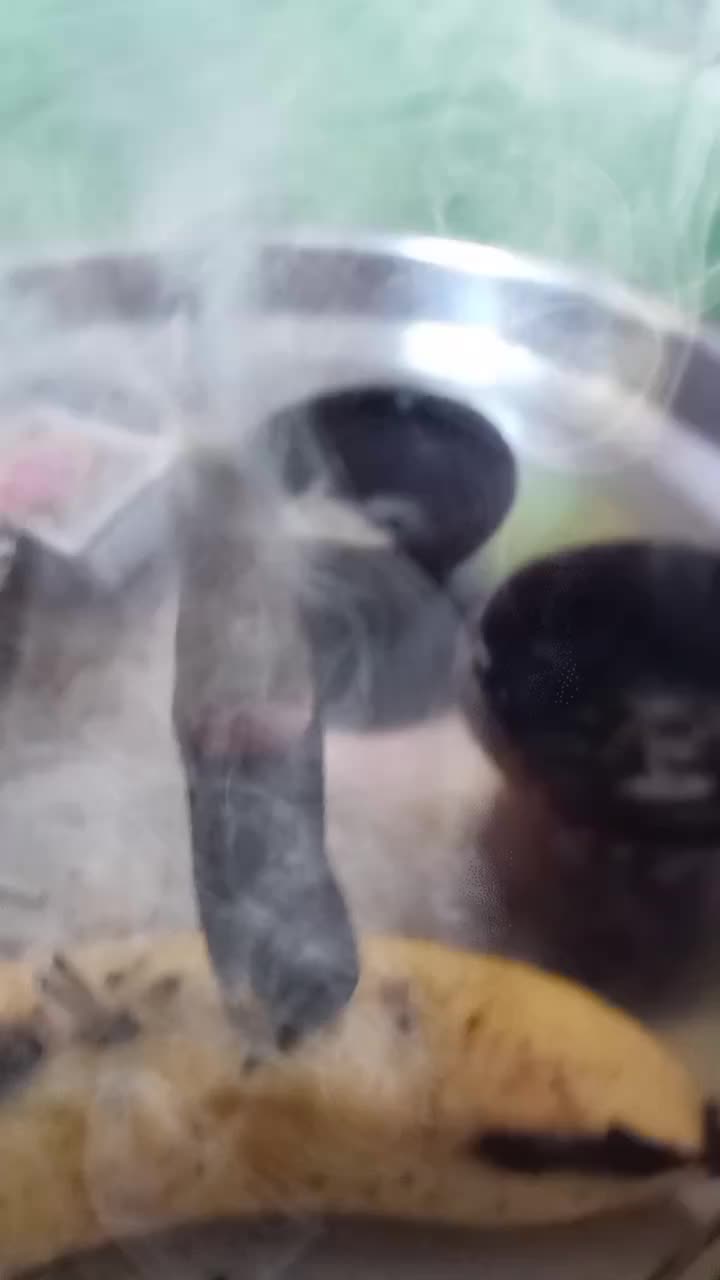 @Pradumya