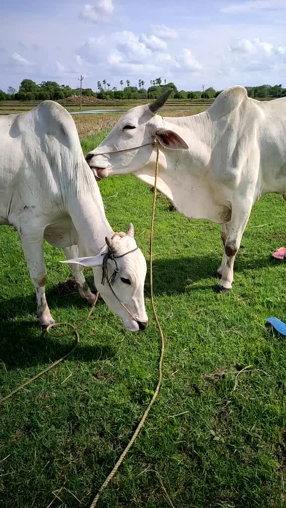@Abhimanyu