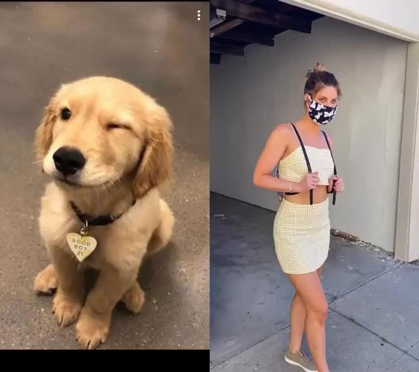 @jesuisunchienlol