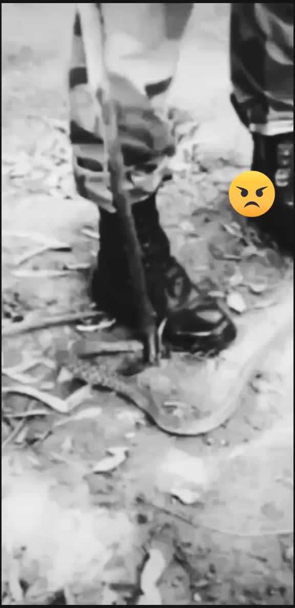 @Rishky cammando. ❣️❣