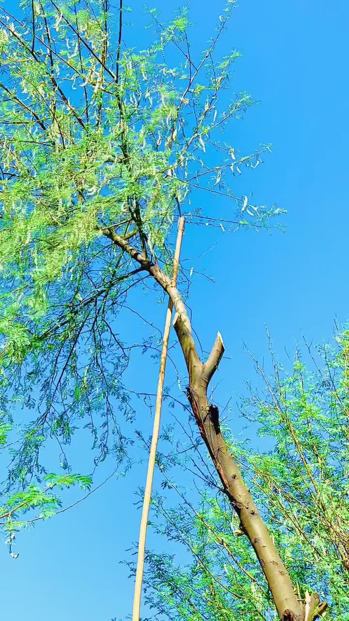 @SAIDRAHMAN