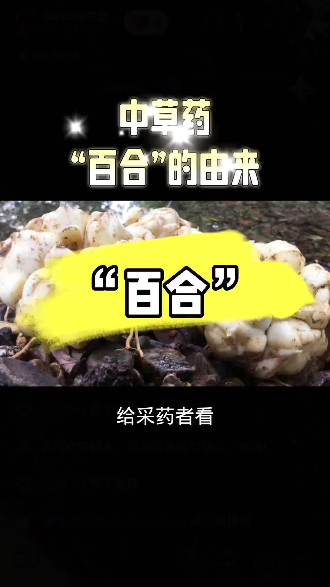 @laotang中医世家