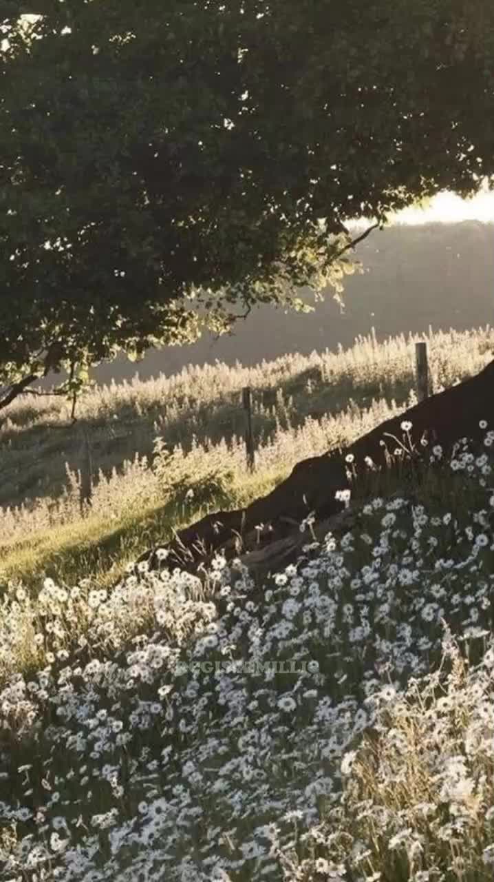 @<3