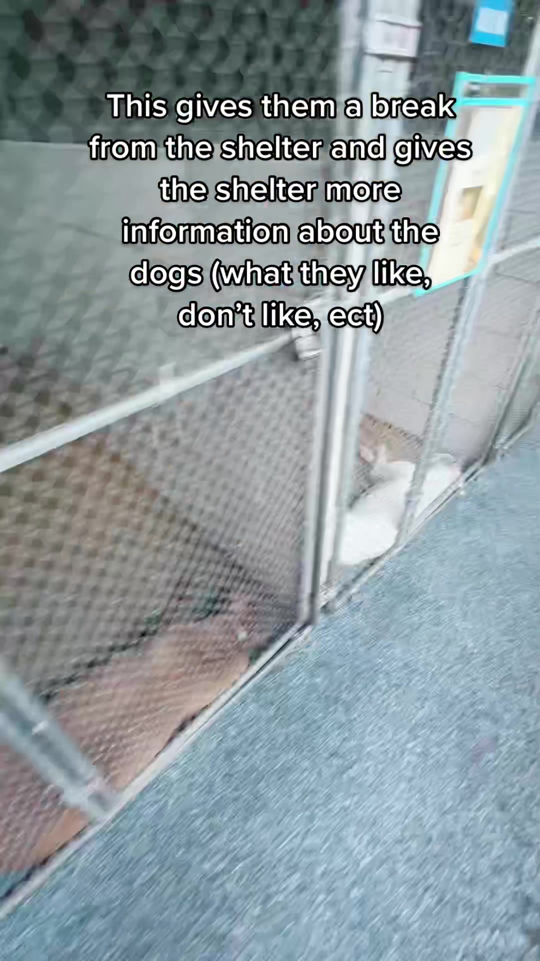 @thewoofpacknc