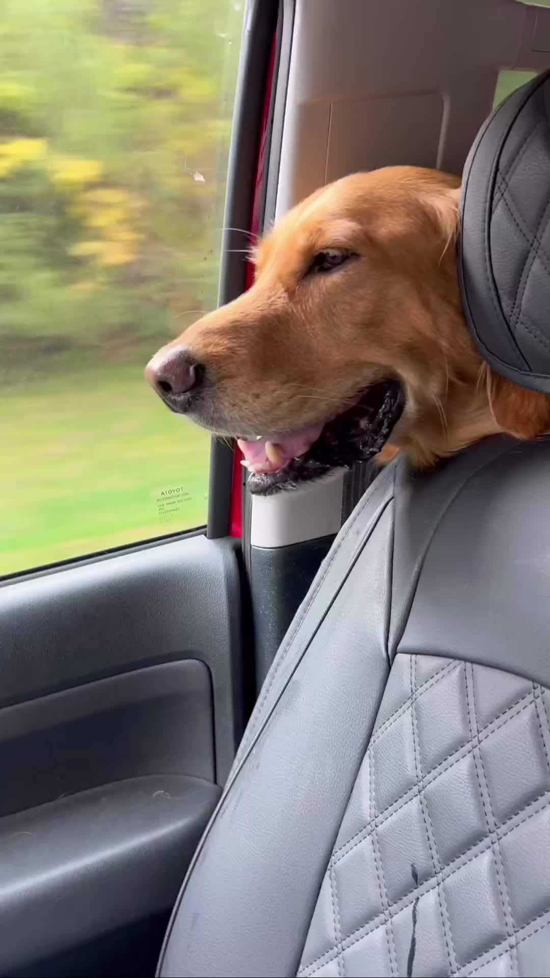 @SeaCrest_Cooper