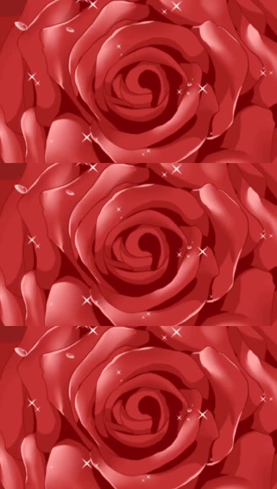 @vijayshree