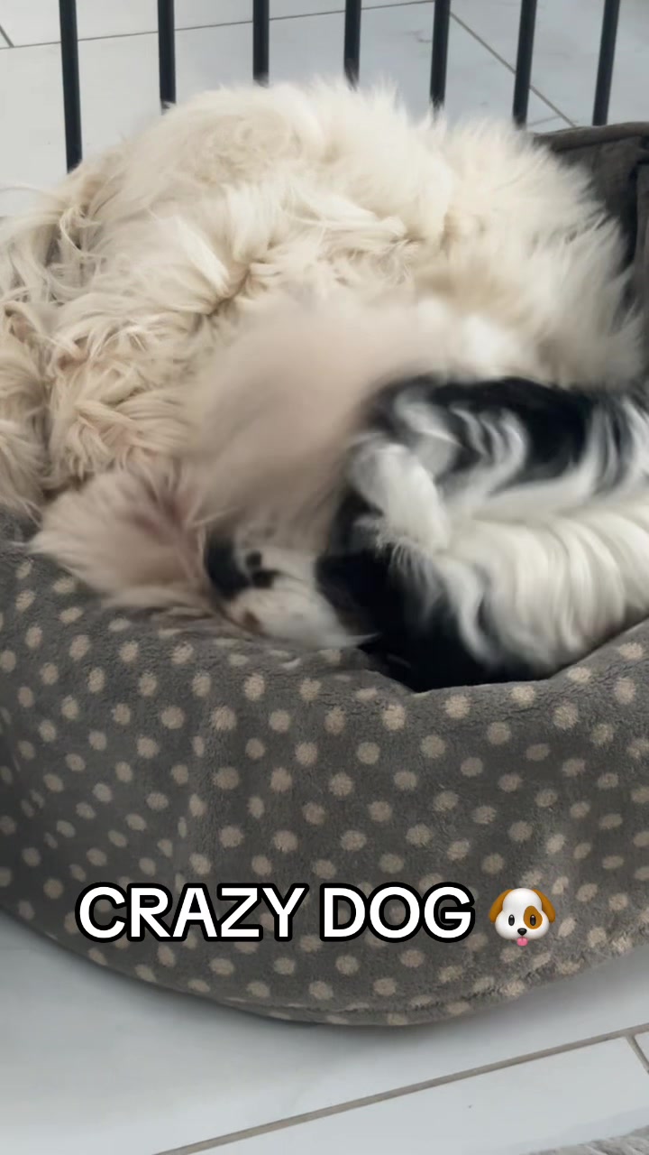 @Teddy 🧸