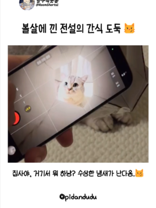@인기영상