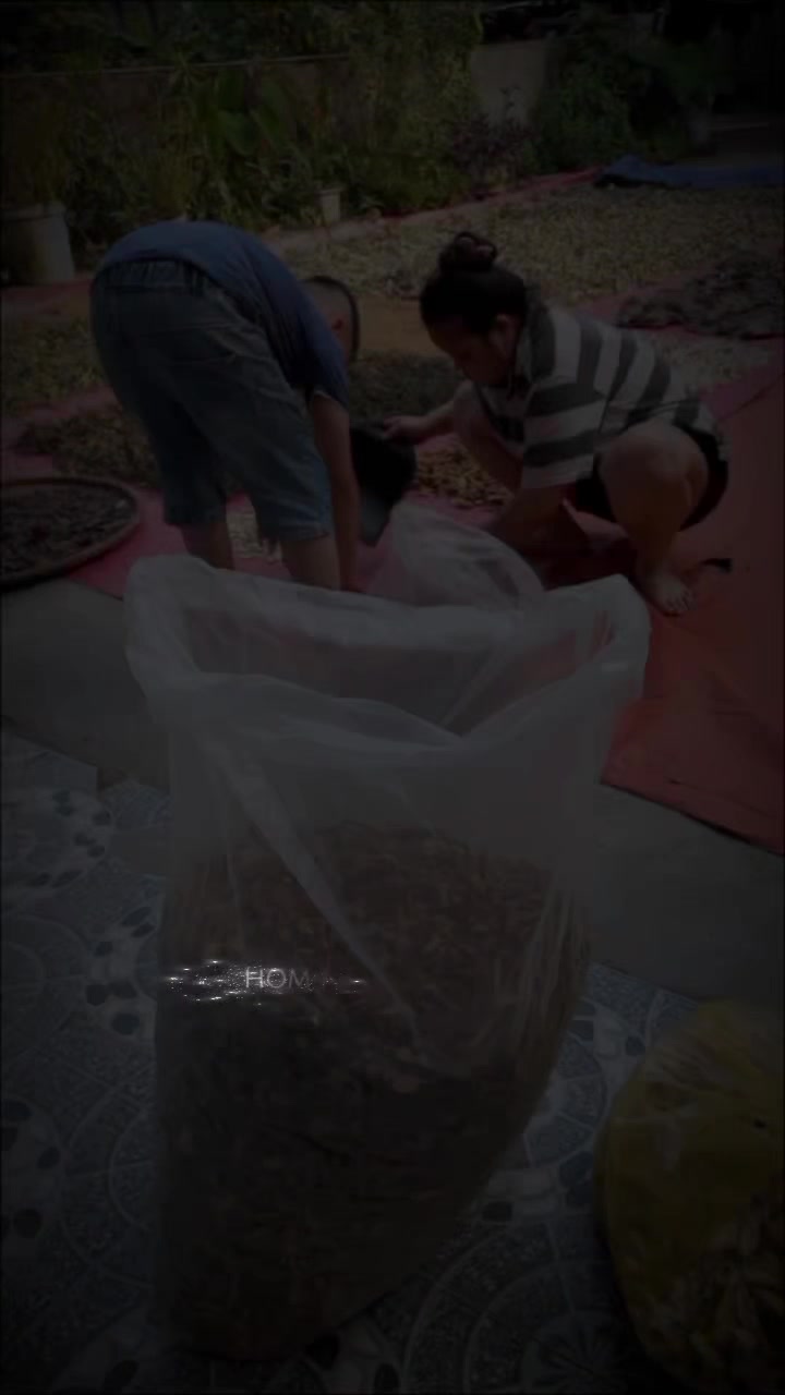 @Đ&ocirc;ng y VŨ VĂN D&Acirc;N