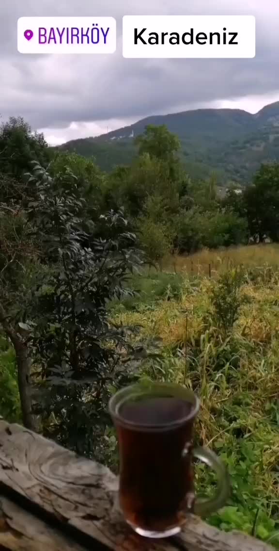 @user349187