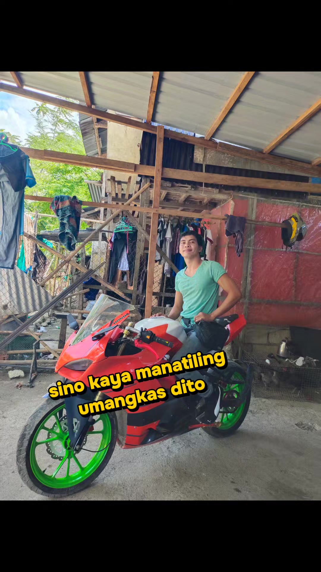 @palawan modified fiber
