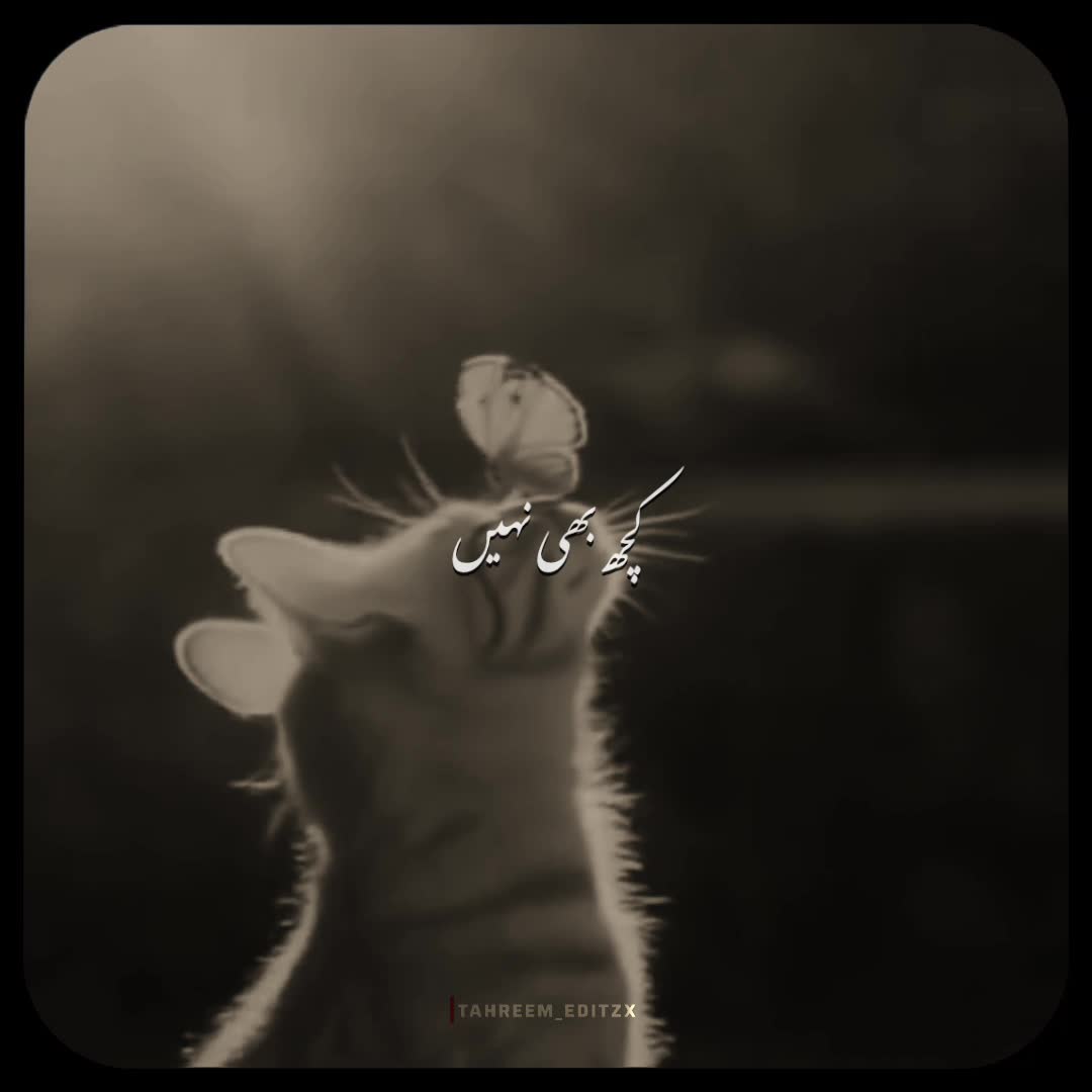 @DEAD SOUL~