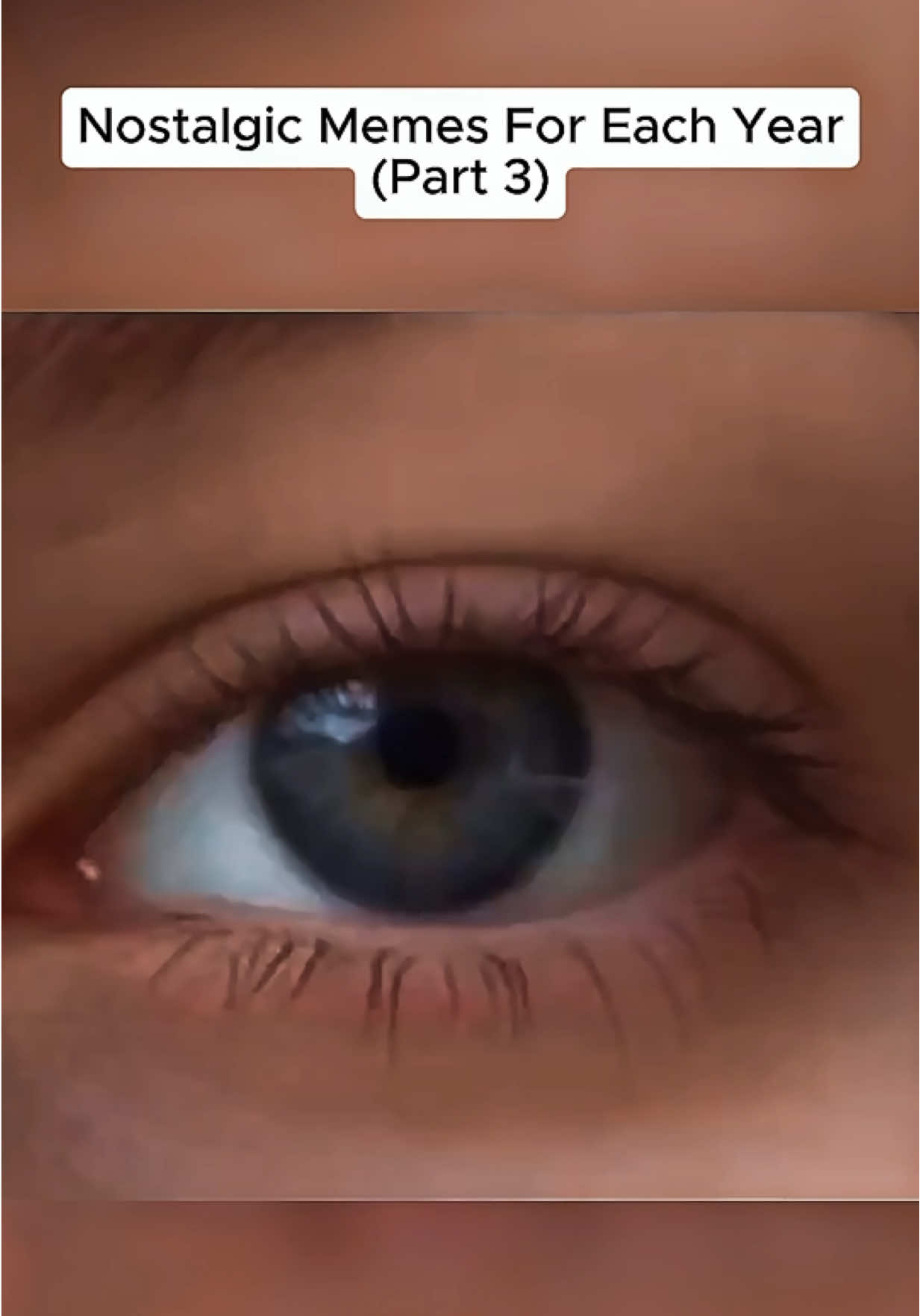 @NicheNovaNostalgia