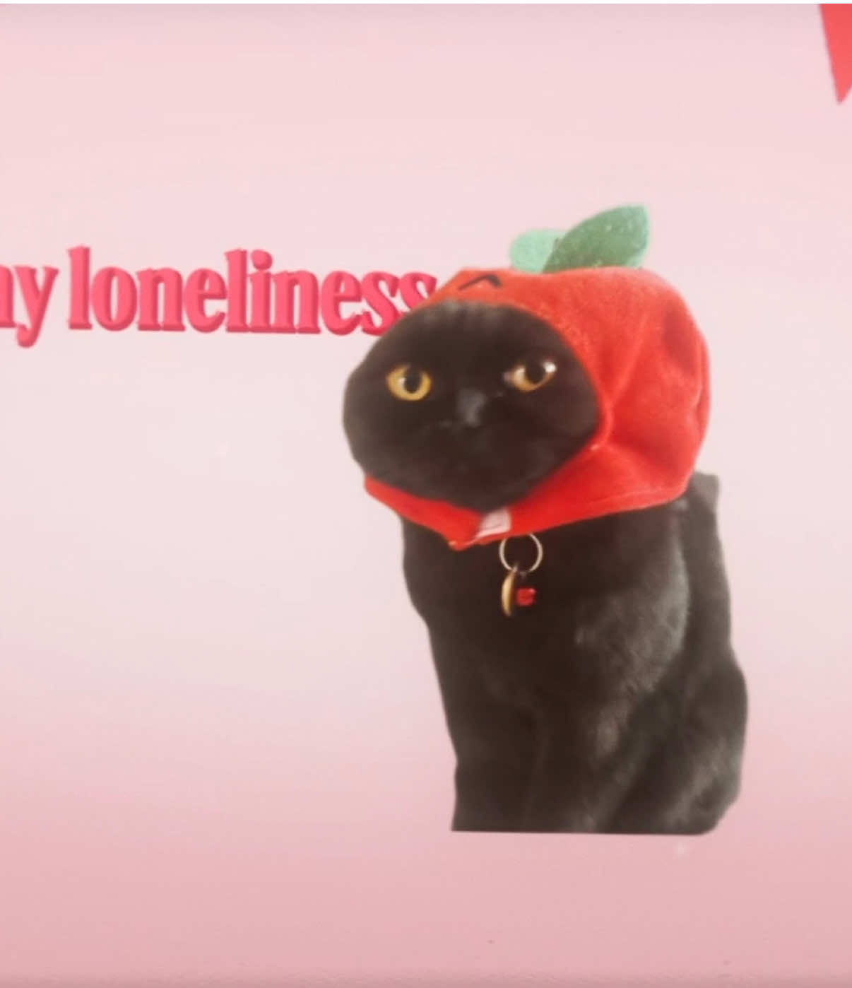 @Loren