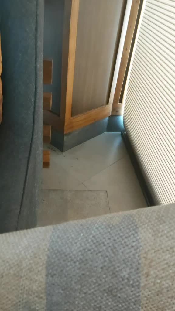 @Deepti Yadav