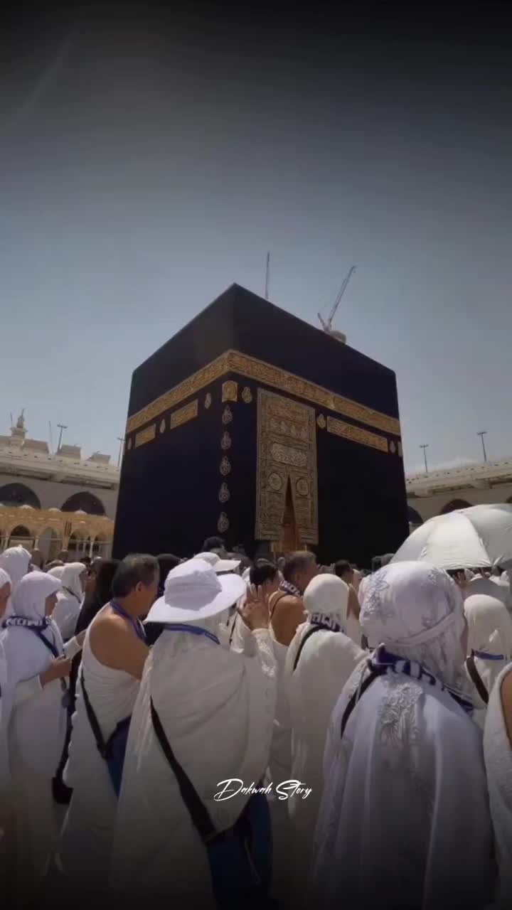 @user79268496212