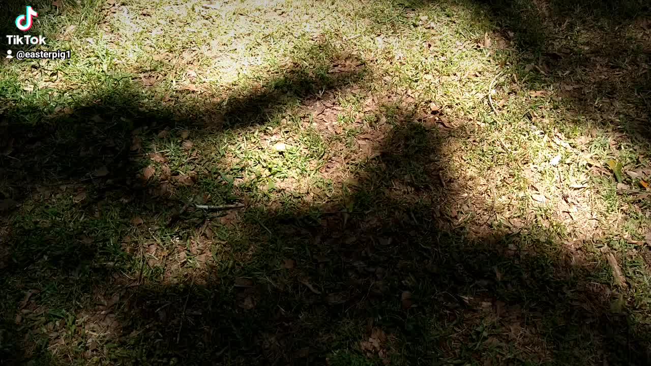 @user889828329677