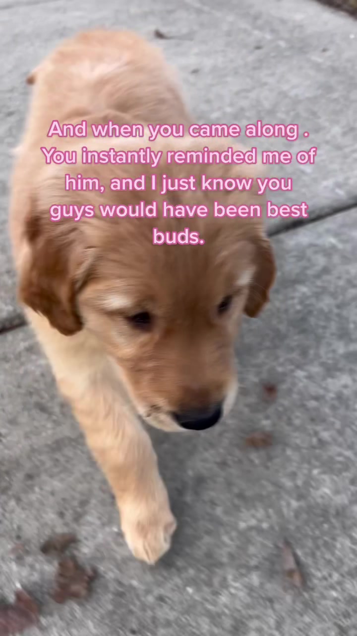 @Trev