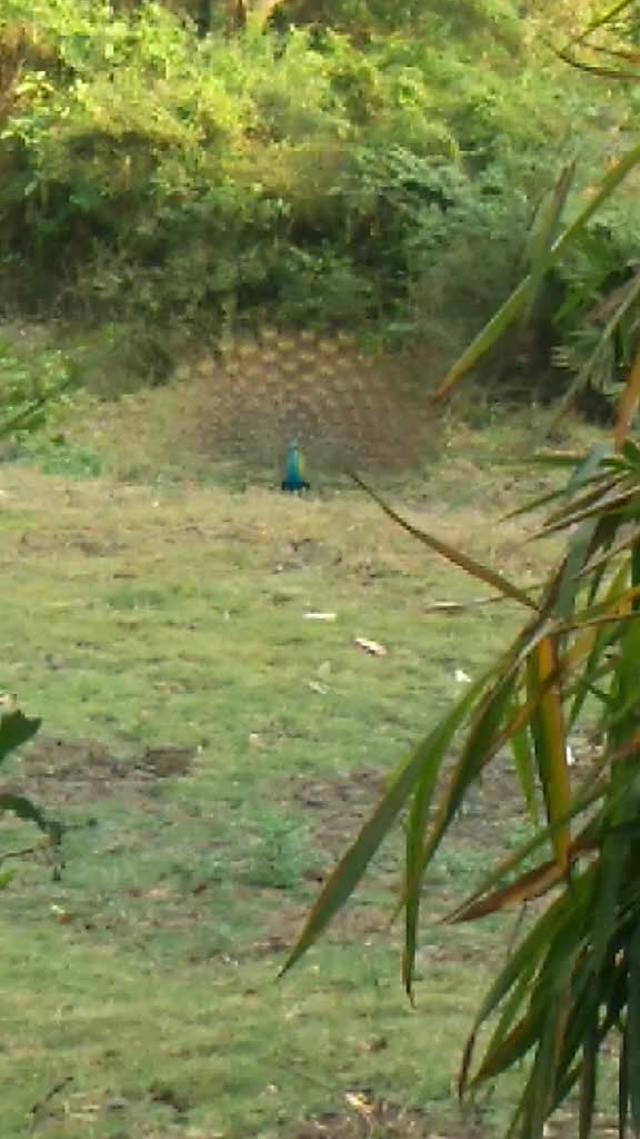 @Selva Sivakumar