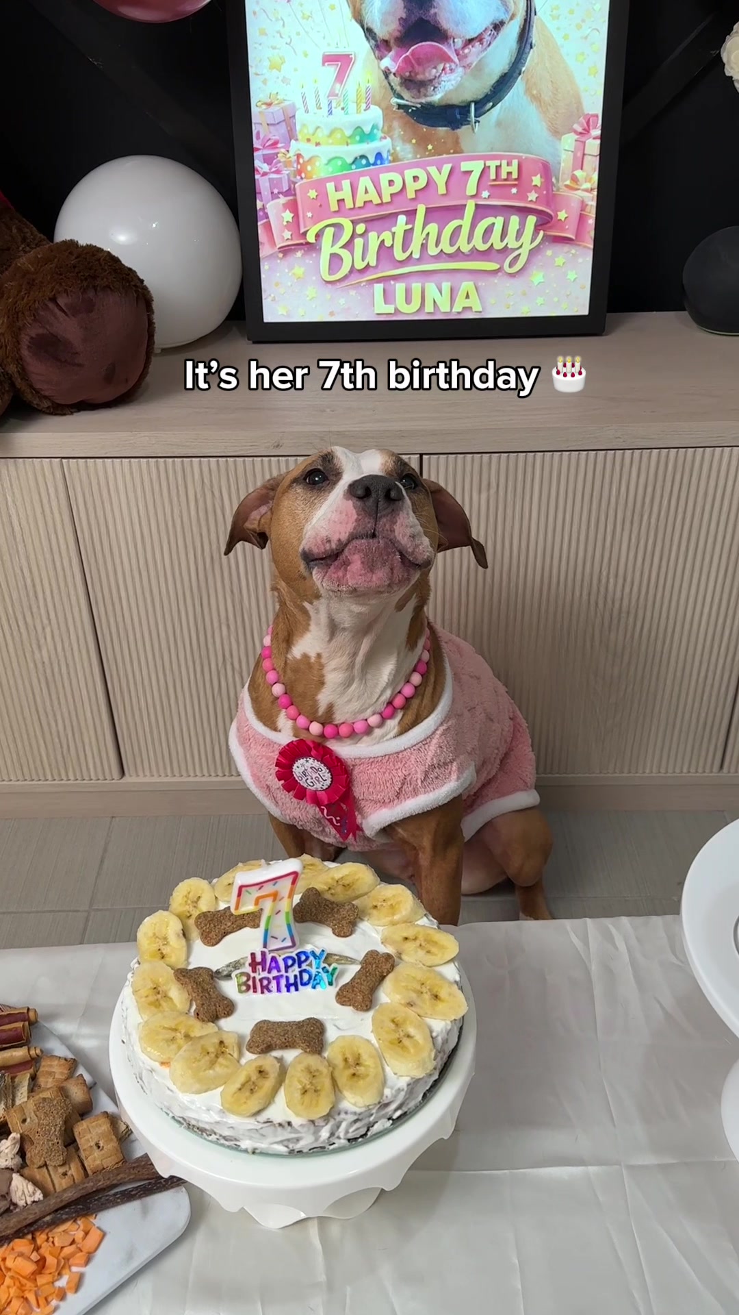@Luna The Pittie