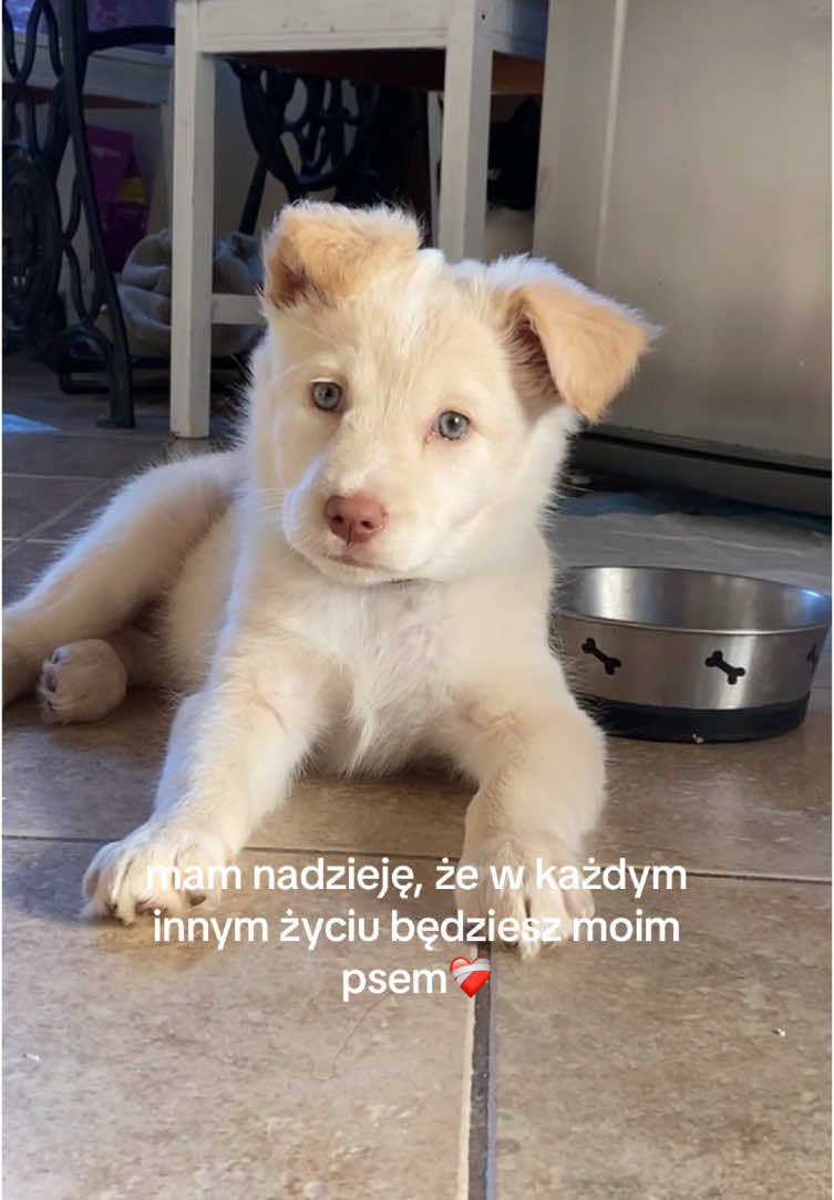 @𝔃𝓾𝔃𝓪 ཐི♡ཋྀ