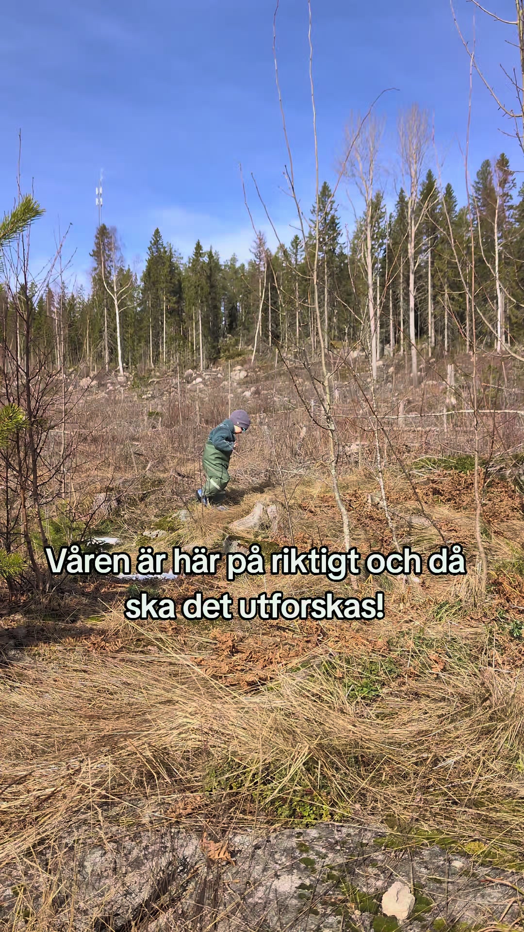 @Sallander
