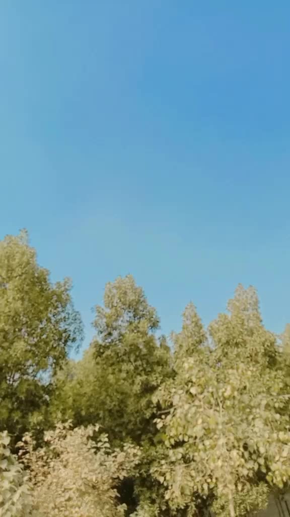@ARSHADMALIK