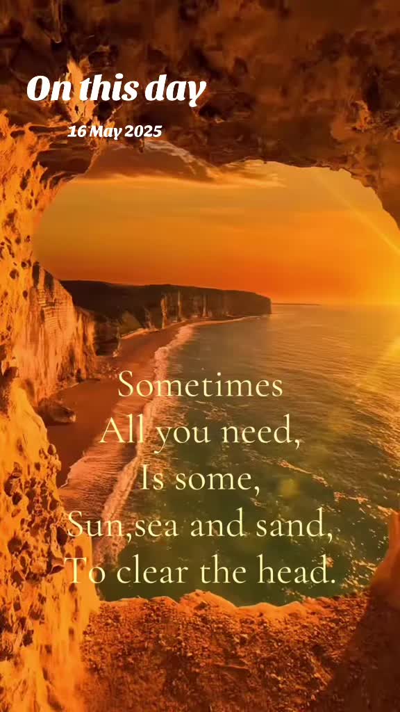 @Sarah🌻🥀💜