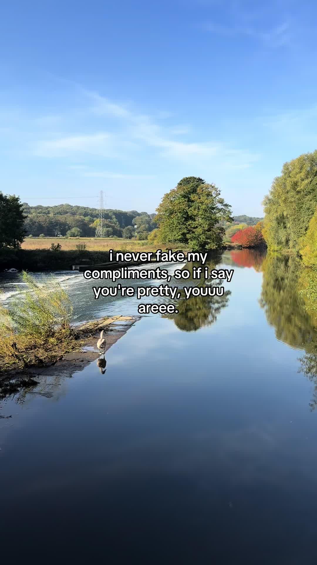 @reel_feels_