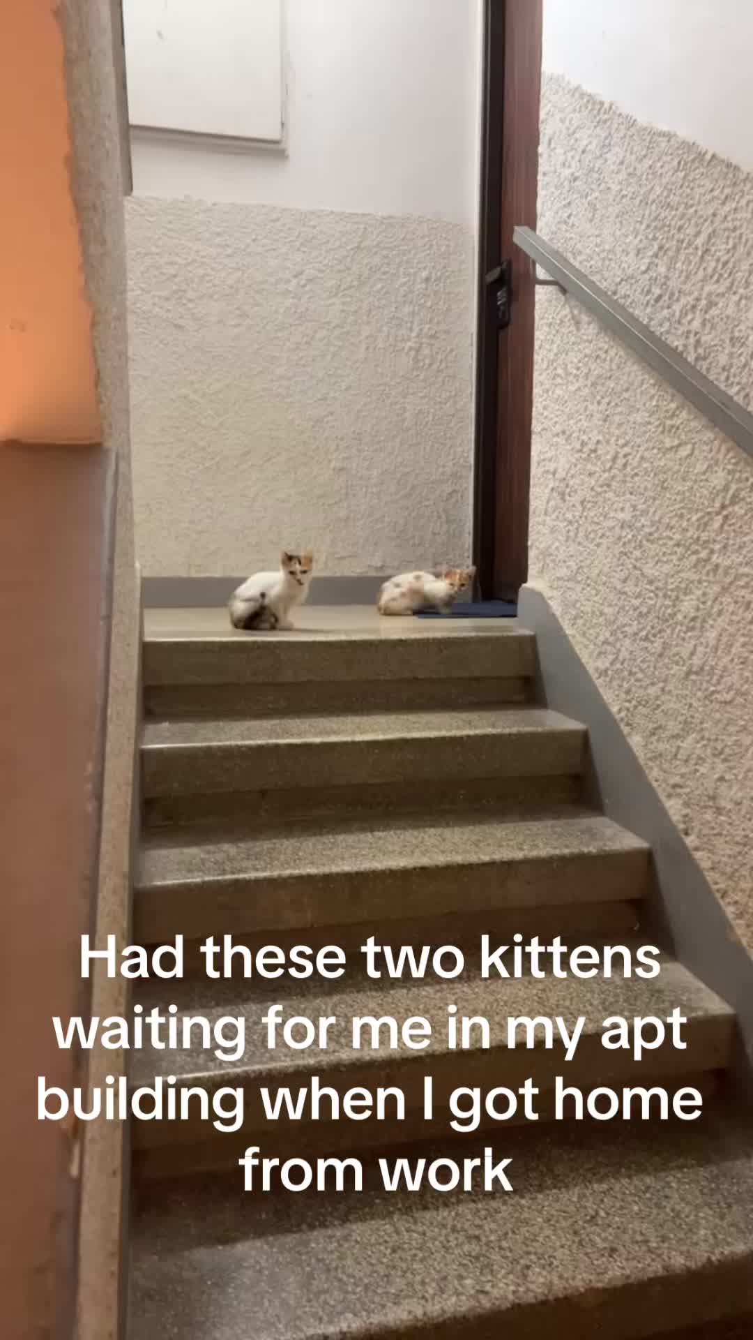 @stparkinshtein