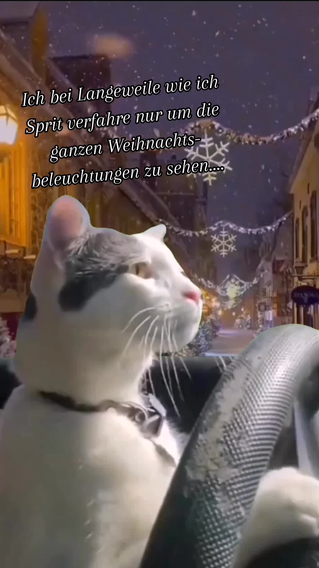 @𝚍𝕚𝐞 𝐛𝖊𝙼𝒂𝑳𝕥𝚎