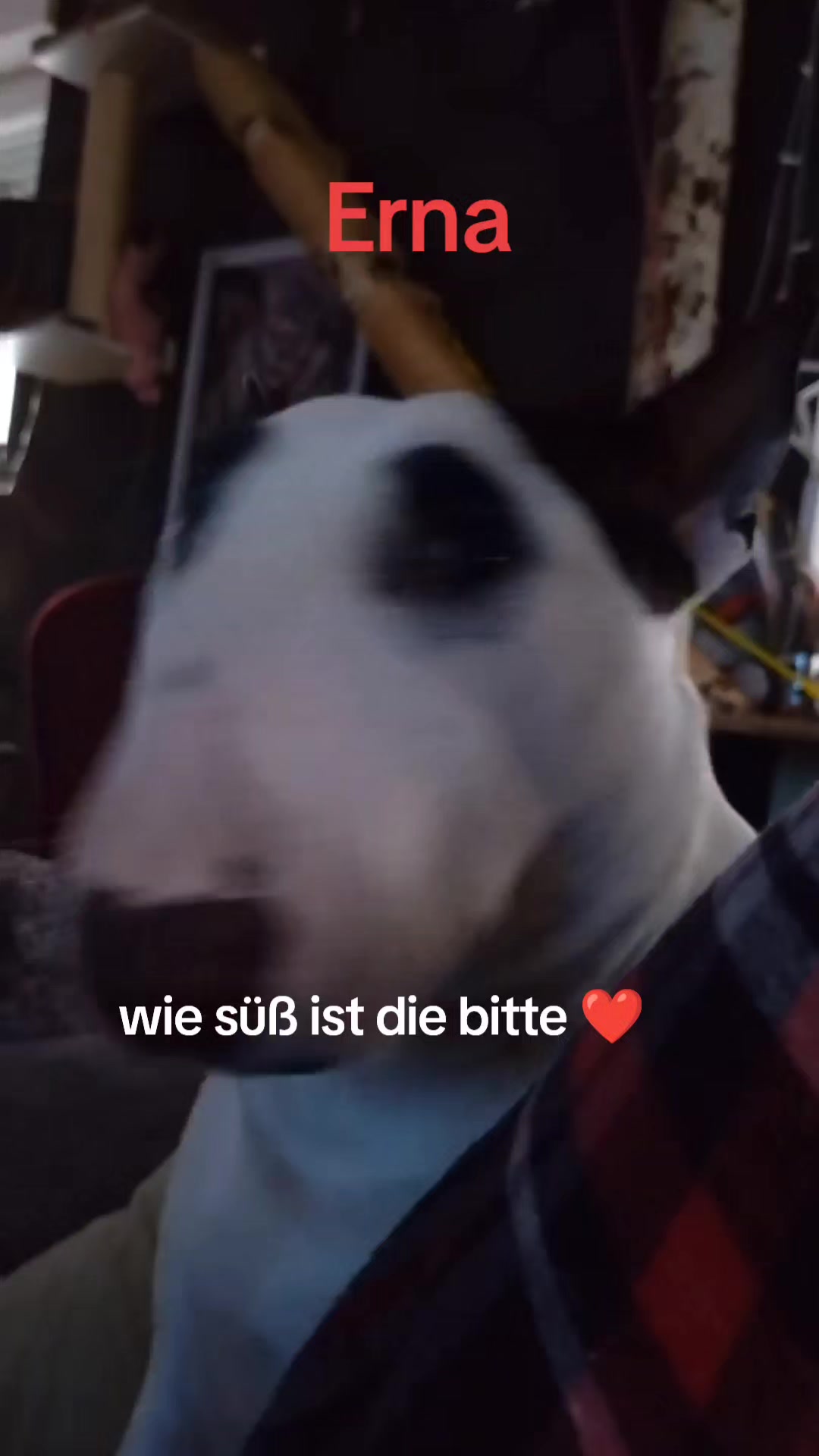 @Ernas_mum