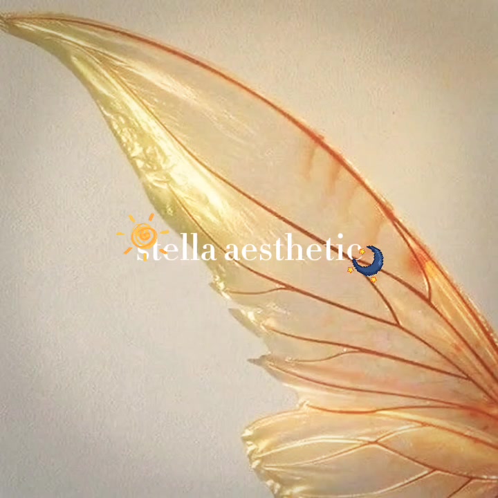 @EᒪᒪE ᐯᗩᒪEᑎSIᗩ || 🌸🍃