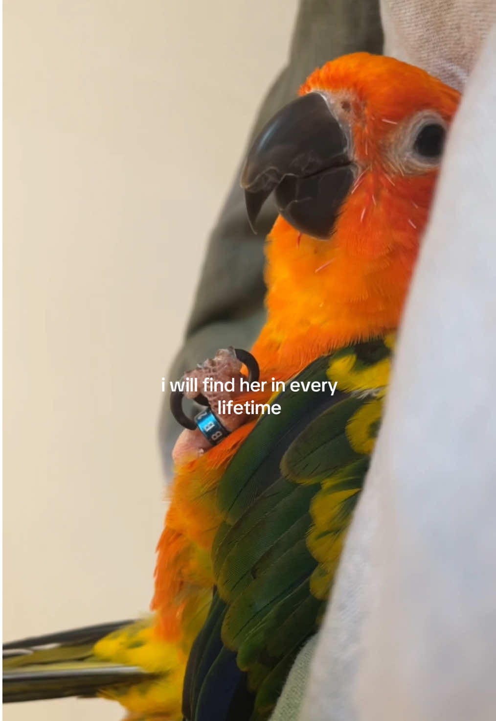 @๐