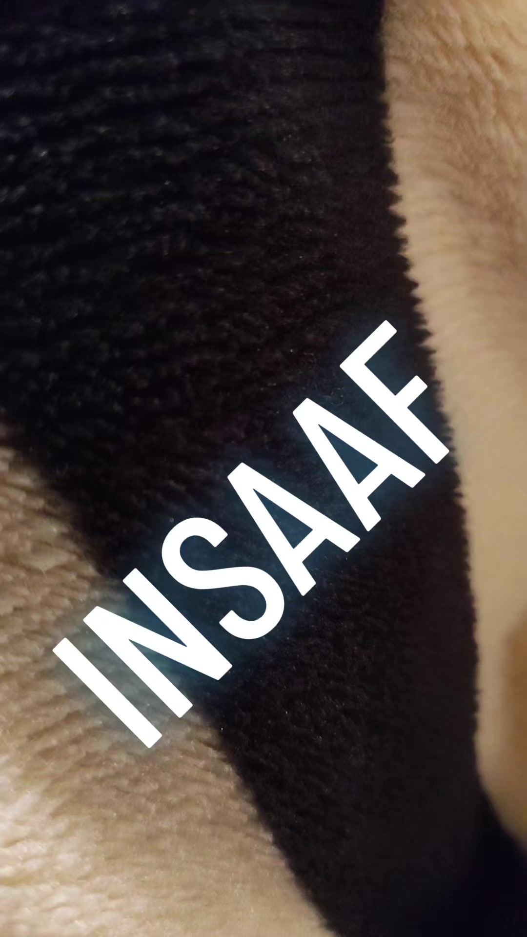 @shahny