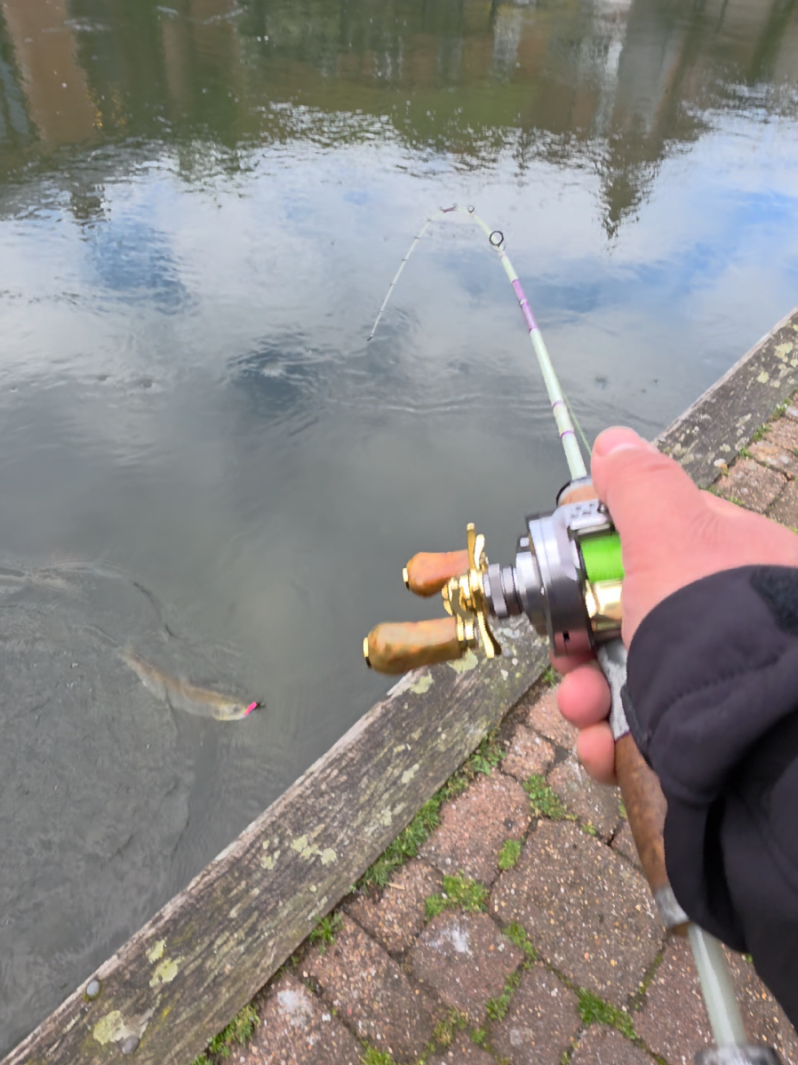 @BF Angler