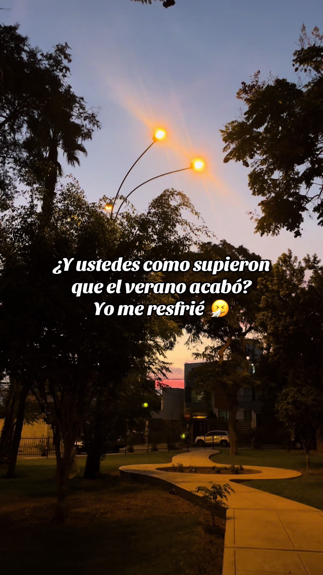 @Bee Baldeon 🐝