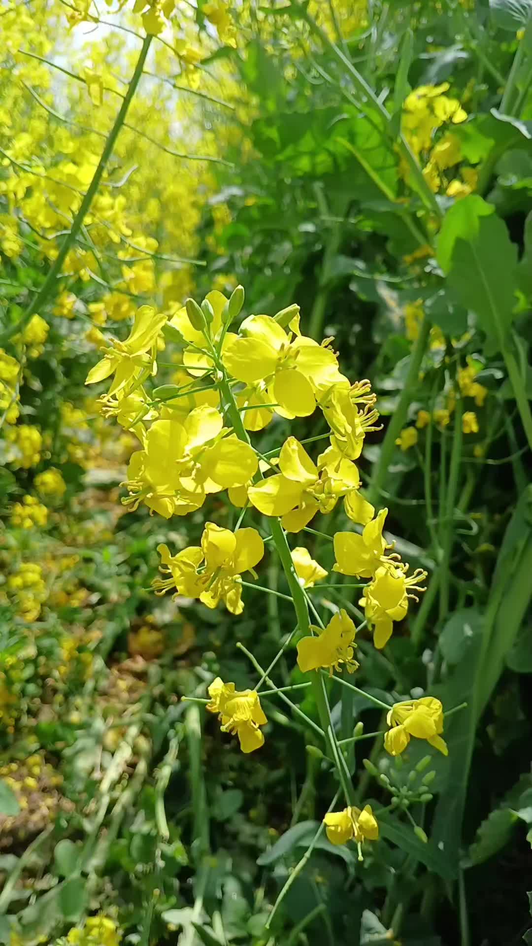@Cătălin.B90