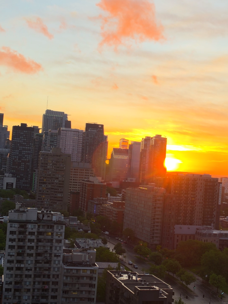 @Jean-Marc Picard  💖 ✨️ 🇨🇦