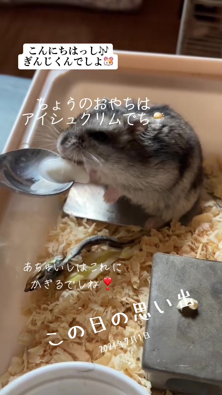 @big mama 🐹🐕