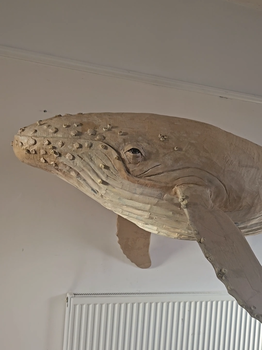 @Josh Gluckstein- Cardboard Art