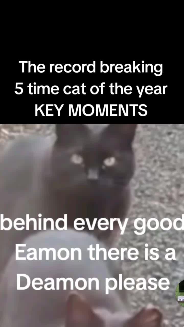 @barneypleasesatirenow