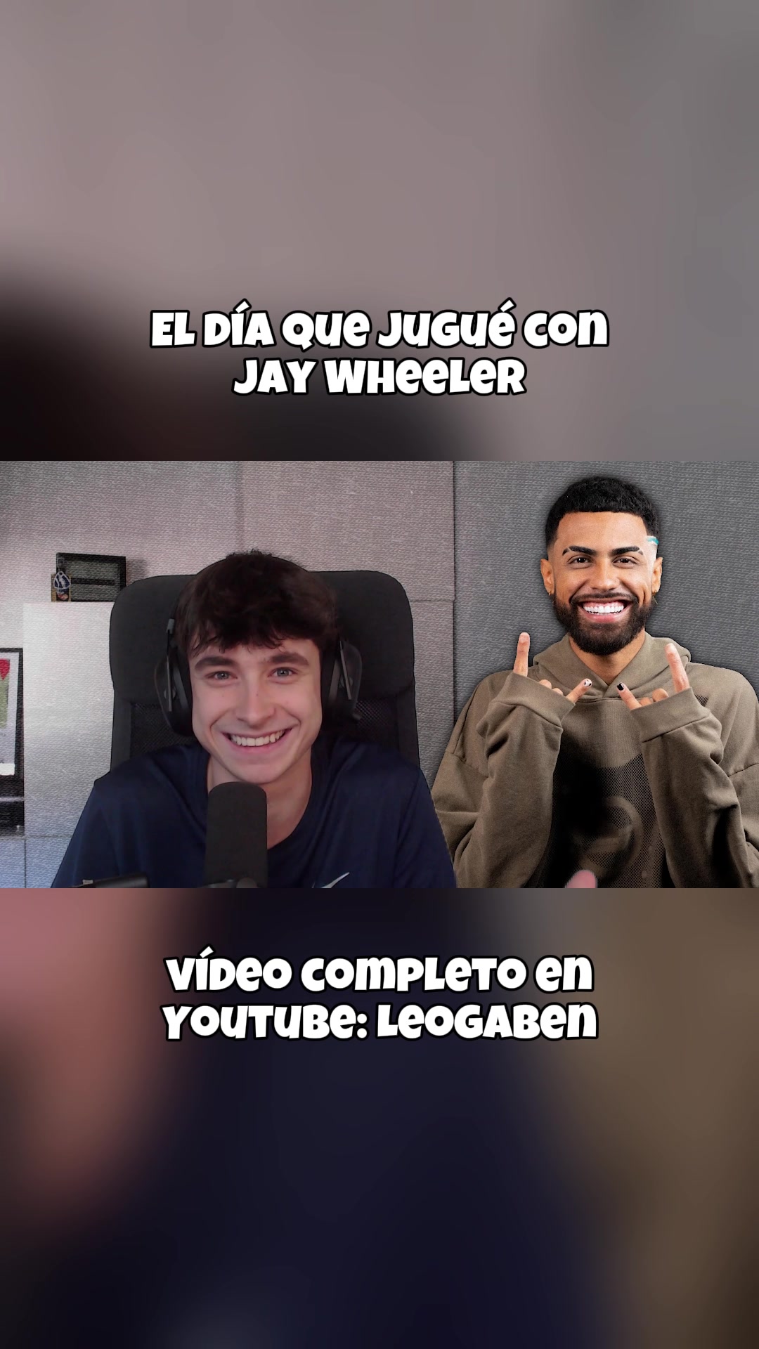 @leogaben