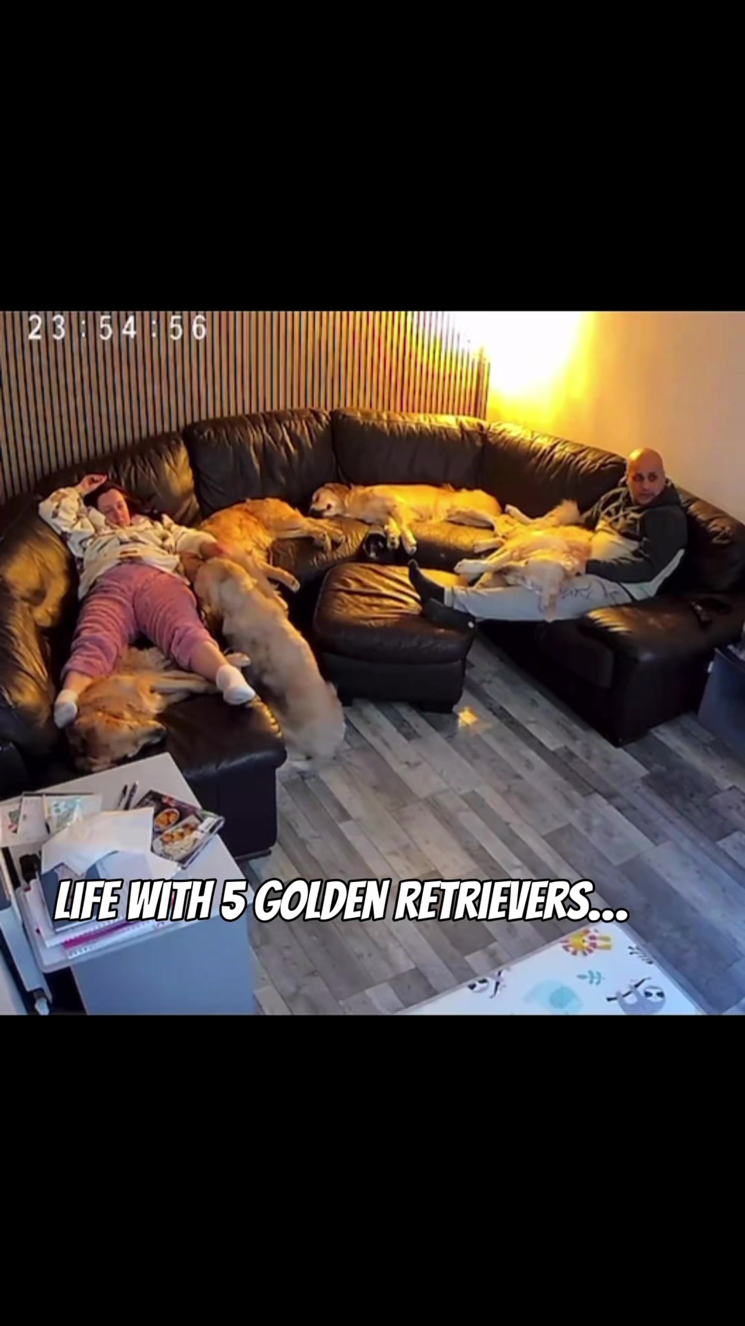 @5 Shades of Golden